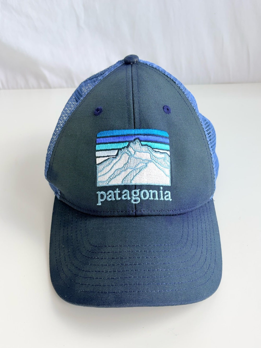 Patagonia Line Logo Ridge LoPro Trucker Hat Mens Blue Patch NetPlus Snapback